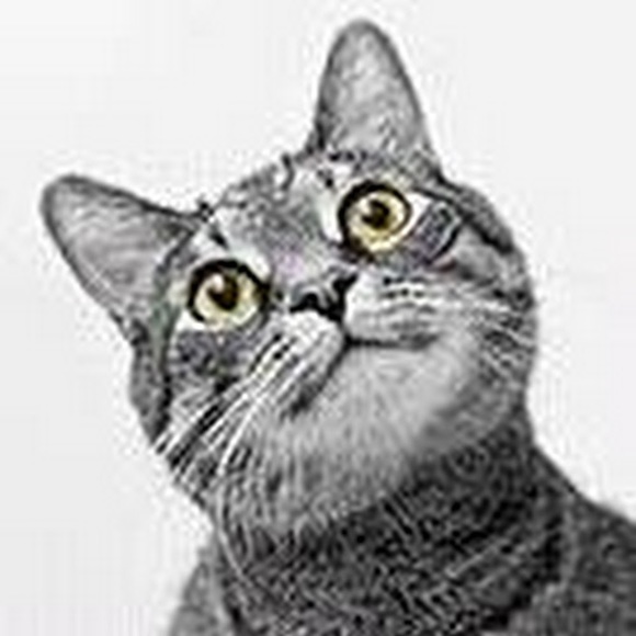 Meet your Posher, Chrissi - Picture 1 of 1